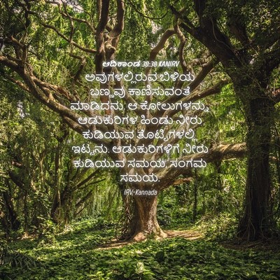 Picture 04 - ಆದಿಕಾಂಡ 30:38 KANIRV - ಅವುಗಳಲ್ಲಿರುವ - Bible Verse Picture
