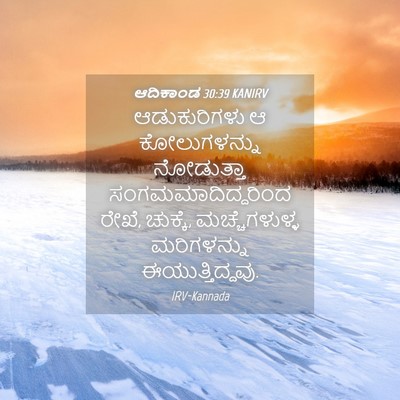 Picture 04 - ಆದಿಕಾಂಡ 30:39 KANIRV - ಆಡುಕುರಿಗಳು ಆ - Bible Verse Picture