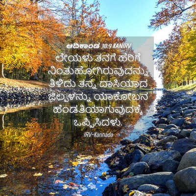 Picture 04 - ಆದಿಕಾಂಡ 30:9 KANIRV - ಲೇಯಳು ತನಗೆ ಹೆರಿಗೆ - Bible Verse Picture