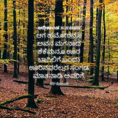 Picture 04 - ಆದಿಕಾಂಡ 34:20 KANIRV - ಆಗ ಹಮೋರನೂ ಅವನ - Bible Verse Picture