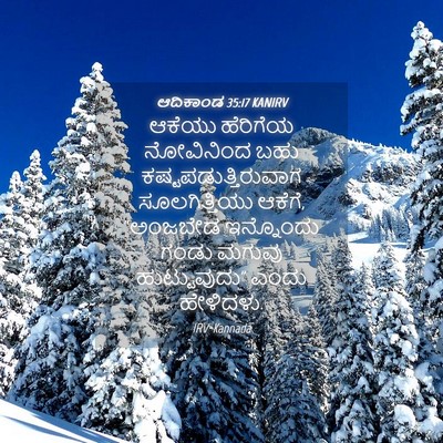 Picture 04 - ಆದಿಕಾಂಡ 35:17 KANIRV - ಆಕೆಯು ಹೆರಿಗೆಯ - Bible Verse Picture
