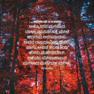 Picture 04 - ಆದಿಕಾಂಡ 36:39 KANIRV - ಅಕ್ಬೋರನ ಮಗನಾದ - Bible Verse Picture