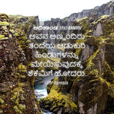 Picture 04 - ಆದಿಕಾಂಡ 37:12 KANIRV - ಅವನ ಅಣ್ಣಂದಿರು - Bible Verse Picture