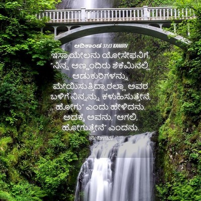 Picture 04 - ಆದಿಕಾಂಡ 37:13 KANIRV - ಇಸ್ರಾಯೇಲನು - Bible Verse Picture
