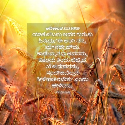 Picture 04 - ಆದಿಕಾಂಡ 37:33 KANIRV - ಯಾಕೋಬನು ಅದರ - Bible Verse Picture