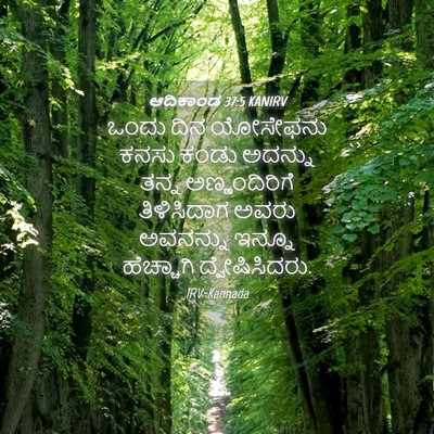 Picture 04 - ಆದಿಕಾಂಡ 37:5 KANIRV - ಒಂದು ದಿನ ಯೋಸೇಫನು - Bible Verse Picture