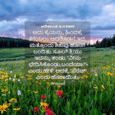 Picture 04 - ಆದಿಕಾಂಡ 38:29 KANIRV - ಅದು ಕೈಯನ್ನು - Bible Verse Picture