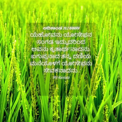 Picture 04 - ಆದಿಕಾಂಡ 39:2 KANIRV - ಯೆಹೋವನು ಯೋಸೇಫನ - Bible Verse Picture