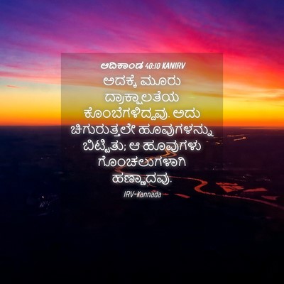 Picture 04 - ಆದಿಕಾಂಡ 40:10 KANIRV - ಅದಕ್ಕೆ ಮೂರು - Bible Verse Picture