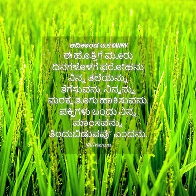 Picture 04 - ಆದಿಕಾಂಡ 40:19 KANIRV - ಈ ಹೊತ್ತಿಗೆ ಮೂರು - Bible Verse Picture