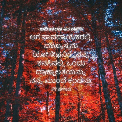 Picture 04 - ಆದಿಕಾಂಡ 40:9 KANIRV - ಆಗ ಪಾನದಾಯಕರಲ್ಲಿ - Bible Verse Picture