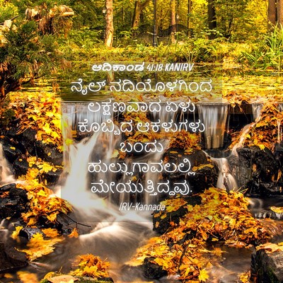 Picture 04 - ಆದಿಕಾಂಡ 41:18 KANIRV - ನೈಲ್ ನದಿಯೊಳಗಿಂದ - Bible Verse Picture