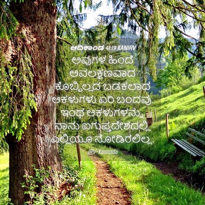 Picture 04 - ಆದಿಕಾಂಡ 41:19 KANIRV - ಅವುಗಳ ಹಿಂದೆ - Bible Verse Picture