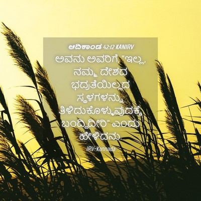 Picture 04 - ಆದಿಕಾಂಡ 42:12 KANIRV - ಅವನು ಅವರಿಗೆ, “ಇಲ್ಲ, - Bible Verse Picture