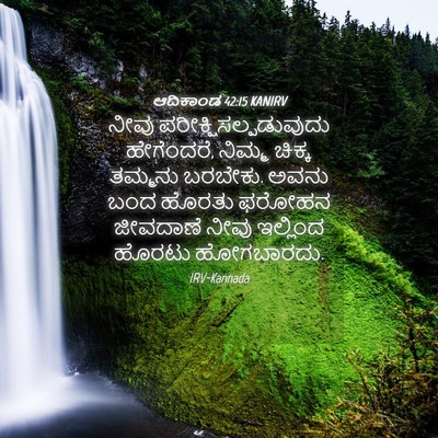 Picture 04 - ಆದಿಕಾಂಡ 42:15 KANIRV - ನೀವು - Bible Verse Picture