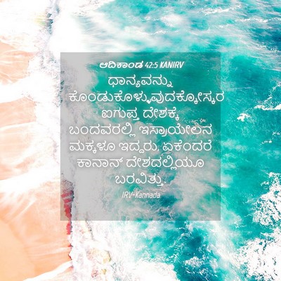 Picture 04 - ಆದಿಕಾಂಡ 42:5 KANIRV - ಧಾನ್ಯವನ್ನು - Bible Verse Picture