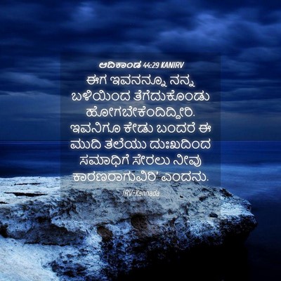 Picture 04 - ಆದಿಕಾಂಡ 44:29 KANIRV - ಈಗ ಇವನನ್ನೂ ನನ್ನ - Bible Verse Picture