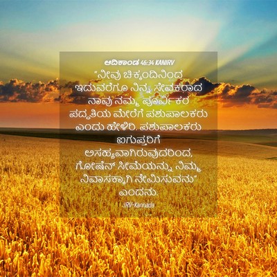 Picture 04 - ಆದಿಕಾಂಡ 46:34 KANIRV - “ನೀವು - Bible Verse Picture
