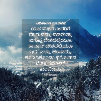 Picture 04 - ಆದಿಕಾಂಡ 47:14 KANIRV - ಯೋಸೇಫನು ಜನರಿಗೆ - Bible Verse Picture