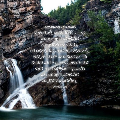 Picture 04 - ಆದಿಕಾಂಡ 47:26 KANIRV - ಬೆಳೆಯಲ್ಲಿ ಐದನೆಯ - Bible Verse Picture
