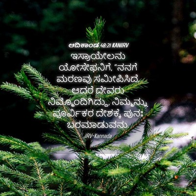 Picture 04 - ಆದಿಕಾಂಡ 48:21 KANIRV - ಇಸ್ರಾಯೇಲನು - Bible Verse Picture