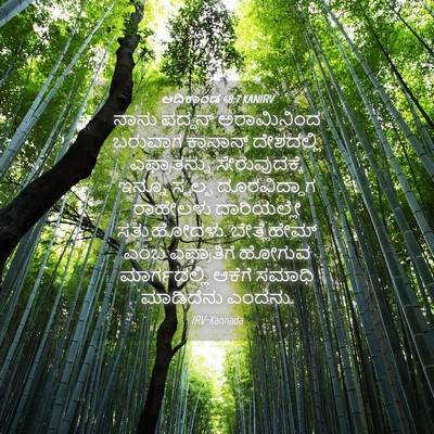 Picture 04 - ಆದಿಕಾಂಡ 48:7 KANIRV - ನಾನು ಪದ್ದನ್ - Bible Verse Picture