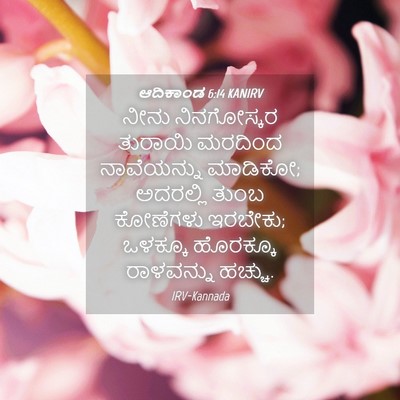 Picture 04 - ಆದಿಕಾಂಡ 6:14 KANIRV - ನೀನು ನಿನಗೋಸ್ಕರ - Bible Verse Picture