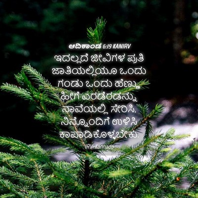 Picture 04 - ಆದಿಕಾಂಡ 6:19 KANIRV - ಇದಲ್ಲದೆ ಜೀವಿಗಳ - Bible Verse Picture