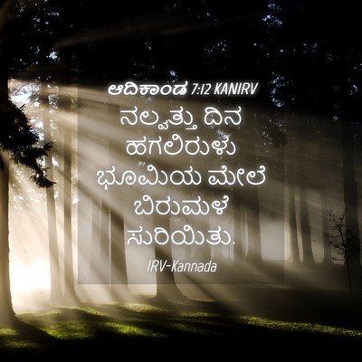 Picture 04 - ಆದಿಕಾಂಡ 7:12 KANIRV - ನಲ್ವತ್ತು ದಿನ - Bible Verse Picture