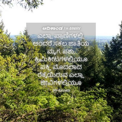 Picture 04 - ಆದಿಕಾಂಡ 7:14 KANIRV - ಎಲ್ಲಾ - Bible Verse Picture