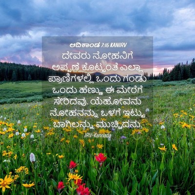Picture 04 - ಆದಿಕಾಂಡ 7:16 KANIRV - ದೇವರು ನೋಹನಿಗೆ - Bible Verse Picture