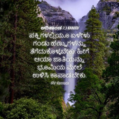 Picture 04 - ಆದಿಕಾಂಡ 7:3 KANIRV - ಪಕ್ಷಿಗಳಲ್ಲಿಯೂ - Bible Verse Picture