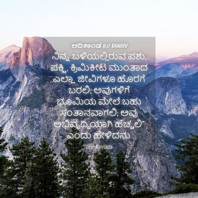 Picture 04 - ಆದಿಕಾಂಡ 8:17 KANIRV - ನಿನ್ನ ಬಳಿಯಲ್ಲಿರುವ - Bible Verse Picture