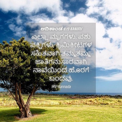 Picture 04 - ಆದಿಕಾಂಡ 8:19 KANIRV - ಎಲ್ಲಾ ಮೃಗಗಳು, ಪಶು - Bible Verse Picture