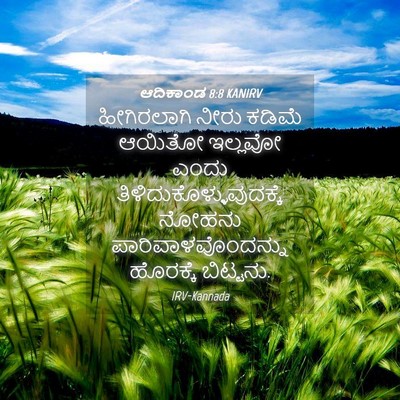 Picture 04 - ಆದಿಕಾಂಡ 8:8 KANIRV - ಹೀಗಿರಲಾಗಿ ನೀರು - Bible Verse Picture