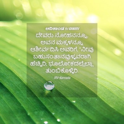 Picture 04 - ಆದಿಕಾಂಡ 9:1 KANIRV - ದೇವರು ನೋಹನನ್ನೂ, - Bible Verse Picture