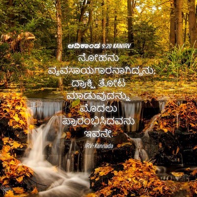 Picture 04 - ಆದಿಕಾಂಡ 9:20 KANIRV - ನೋಹನು - Bible Verse Picture