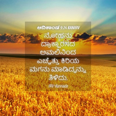 Picture 04 - ಆದಿಕಾಂಡ 9:24 KANIRV - ನೋಹನು ದ್ರಾಕ್ಷಾರಸದ - Bible Verse Picture