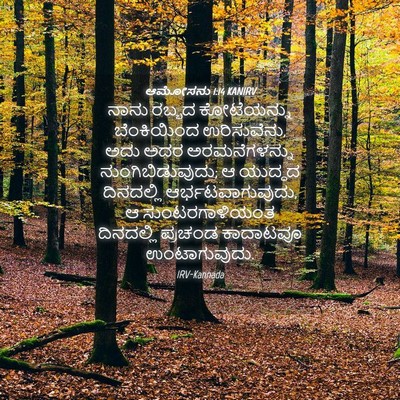 Picture 04 - ಆಮೋಸನು 1:14 KANIRV - ನಾನು ರಬ್ಬದ - Bible Verse Picture