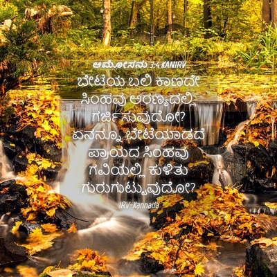 Picture 04 - ಆಮೋಸನು 3:4 KANIRV - ಬೇಟೆಯ ಬಲಿ ಕಾಣದೇ - Bible Verse Picture