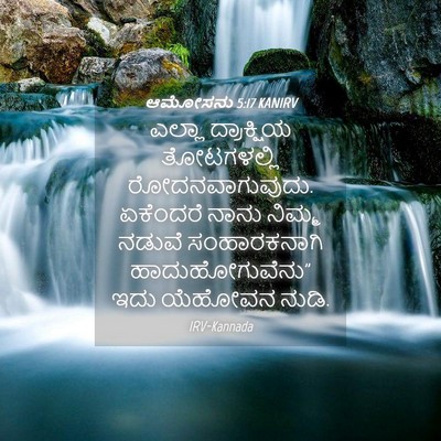 Picture 04 - ಆಮೋಸನು 5:17 KANIRV - ಎಲ್ಲಾ ದ್ರಾಕ್ಷಿಯ - Bible Verse Picture