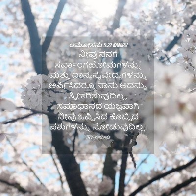 Picture 04 - ಆಮೋಸನು 5:22 KANIRV - ನೀವು ನನಗೆ - Bible Verse Picture
