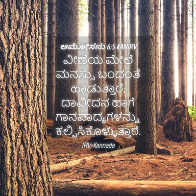 Picture 04 - ಆಮೋಸನು 6:5 KANIRV - ವೀಣೆಯ ಮೇಲೆ ಮನಸ್ಸು - Bible Verse Picture