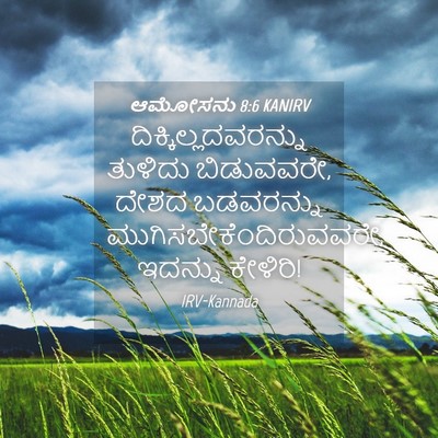 Picture 04 - ಆಮೋಸನು 8:6 KANIRV - ದಿಕ್ಕಿಲ್ಲದವರನ್ನು - Bible Verse Picture