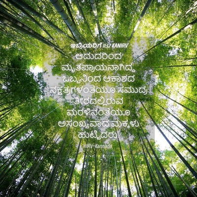 Picture 04 - ಇಬ್ರಿಯರಿಗೆ 11:12 KANIRV - ಆದುದರಿಂದ - Bible Verse Picture