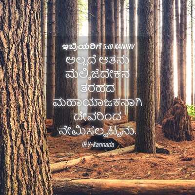 Picture 04 - ಇಬ್ರಿಯರಿಗೆ 5:10 KANIRV - ಅಲ್ಲದೆ ಆತನು - Bible Verse Picture
