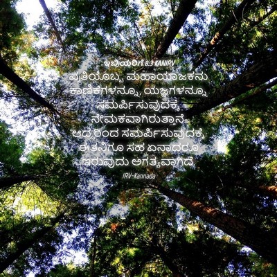 Picture 04 - ಇಬ್ರಿಯರಿಗೆ 8:3 KANIRV - ಪ್ರತಿಯೊಬ್ಬ - Bible Verse Picture