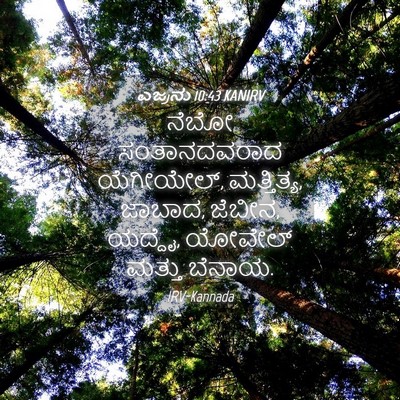 Picture 04 - ಎಜ್ರನು 10:43 KANIRV - ನೆಬೋ ಸಂತಾನದವರಾದ - Bible Verse Picture