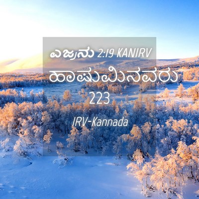 Picture 04 - ಎಜ್ರನು 2:19 KANIRV - ಹಾಷುಮಿನವರು - Bible Verse Picture