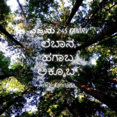 Picture 04 - ಎಜ್ರನು 2:45 KANIRV - ಲೆಬಾನ, ಹಗಾಬ, - Bible Verse Picture